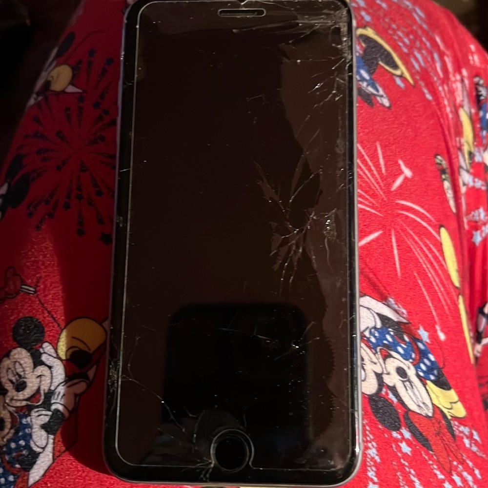 iPhone 6 s plus I had no problems with this phone the